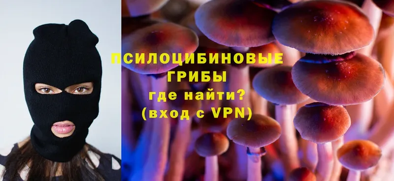 Галлюциногенные грибы Magic Shrooms  Ессентуки 